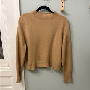 Everlane cashmere mockneck brown Tan Sweater